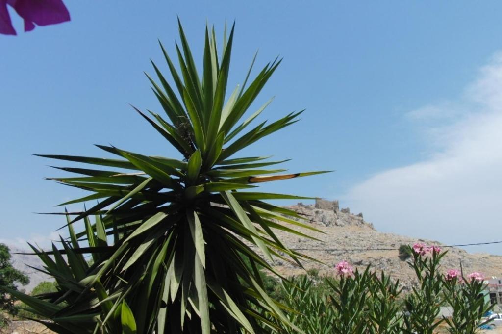 Castle View Apartment Charaki