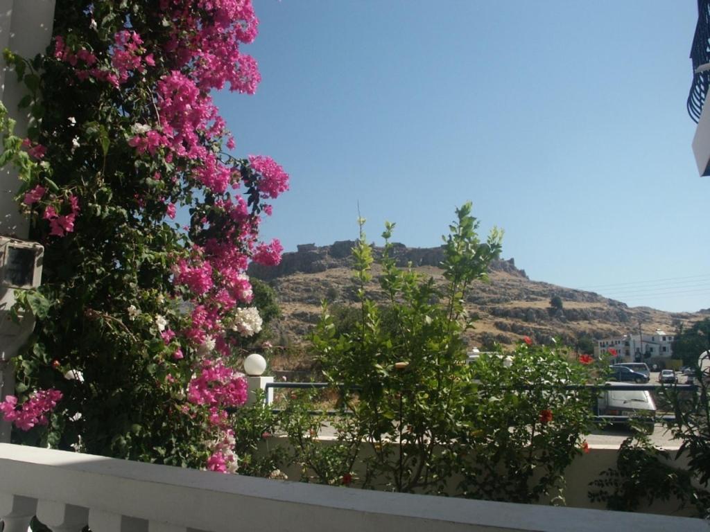 Castle View